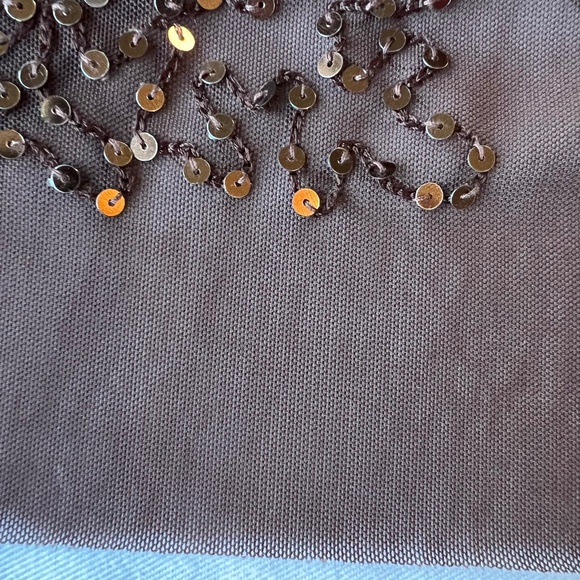 Irene Van RYB Mesh Sequin Pullover Top with Separate Matching Cami Liner - Picture 12 of 15